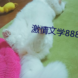 激情文学(xué)8888