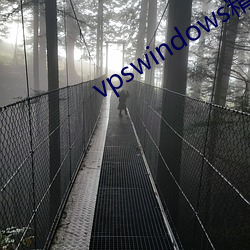 vpswindows精品重囗