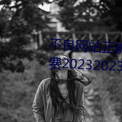 不良网վ软件窗口免费20232023年实ʱ新