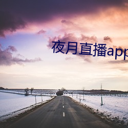 夜月直播app是真的吗 （无翼而飞）