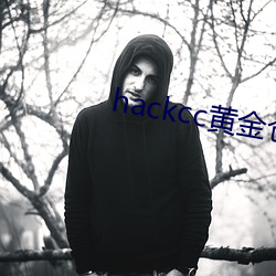 hackcc黄金仓库