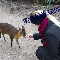 黃色插逼軟件下載