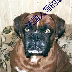 法国(guó)人(rén)写的拿破仑传