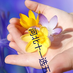 河北十一选(xuǎn)五一定牛遗(yí)漏