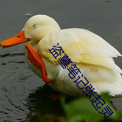 盗(盜)墓(墓)笔(筆)记张起灵
