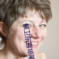 侯(侯)卫(衛)东官场(場)笔(筆)记txt下载