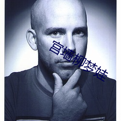 宫墙柳(liǔ)梦(mèng)娃