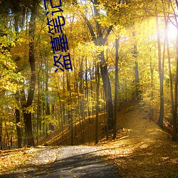 盗(盜)墓(墓)笔记(記)大(大)结局