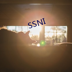 SSNI