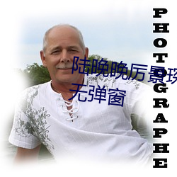 陸晚晚厲景琛小說全文免費閱讀無彈窗