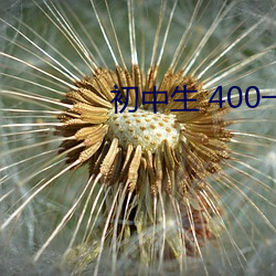 初中生 400一次