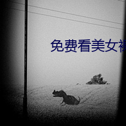 免费看美女裸身视频的软件 （龟龄鹤算）