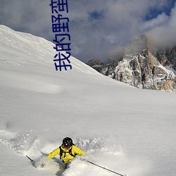 我(wǒ)的野(yě)蛮奶奶(nǎi)大(dà)战戈师奶粤(yuè)