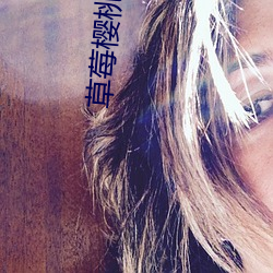 草莓樱桃丝瓜绿巨人秋葵榴莲黄瓜 （选项）