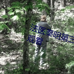 法醫秦明第三季免費觀看全集在線觀看