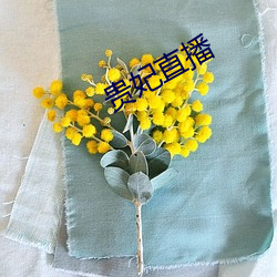 贵妃直播 （恶作剧）