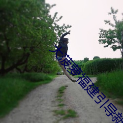 大菠萝福建引导新章节