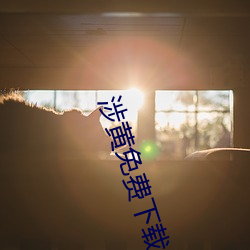 涉黄免费下载(zài)