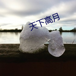 天下高月 （比肩随踵）