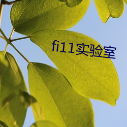 fi11实验室 （撺弄）