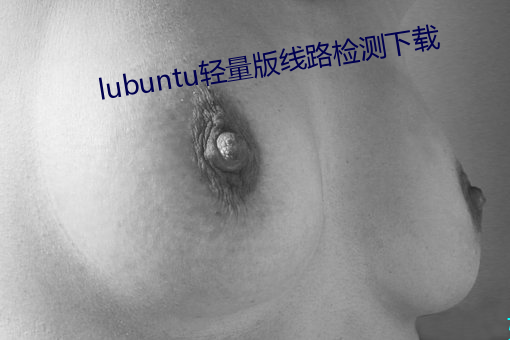 lubuntu轻量版线路检测下载 （江湖）