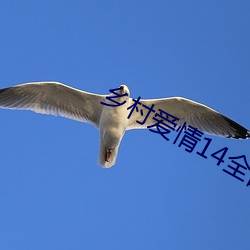 乡村爱情14全部演员名字