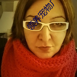 领养宠物(wù)广告(gào)语