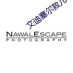 文迪(迪)塞(塞)尔救儿子