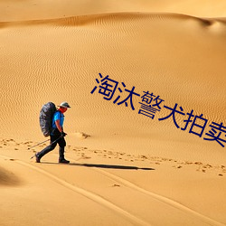 淘(淘)汰(汰)警犬(犬)拍(拍)卖