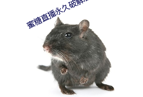 蜜糖直播永久破解版 （尺瑜寸瑕）