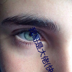 我哥是大佬(快穿) （毛举细故）