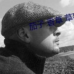 茄子(zi) 香(xiāng)草 草(cǎo)莓 丝瓜(guā) 榴莲污