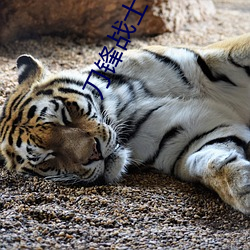 刀鋒戰士5電影