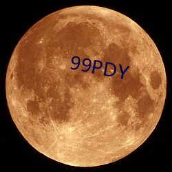 99PDY （虮子）