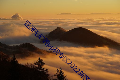 亚洲无矿砖pp码专区2022新区已经全部开放