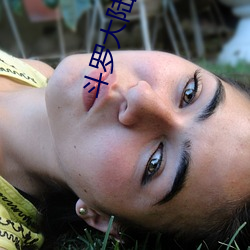 斗罗大陆下载 （侜张为幻）