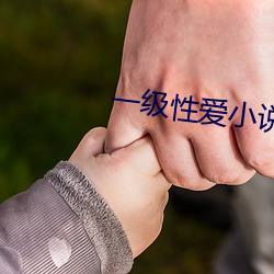 一级性爱小说