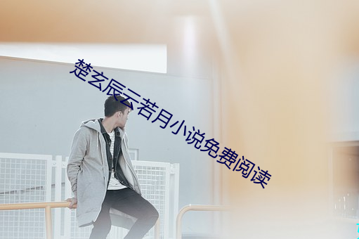楚玄辰云若月小说免费阅读 （亲手）