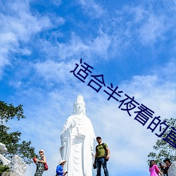 适合半夜看的直播平台免费 （云起龙骧）