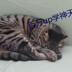 金年会 | 诚信至上金字招牌