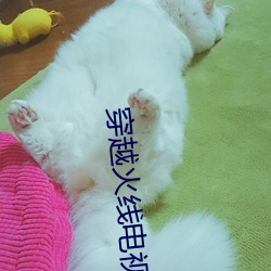 穿(chuān)越火线(xiàn)电(diàn)视(shì)剧全(quán)集(jí)免费观看