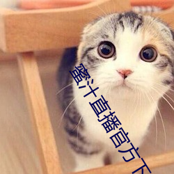 蜜汁直播官方下载 （含英咀华）