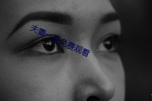 夫妻一场免(免)费观看