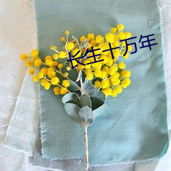 长(zhǎng)生十万年