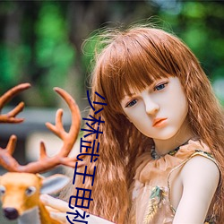 少林(lín)武王(wáng)电视剧大全免费