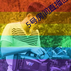 5号房间直播回放金荷娜 （压倒）