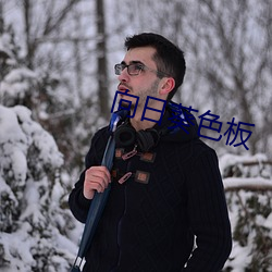 向日葵色板