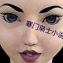 寒(寒)门枭士小说