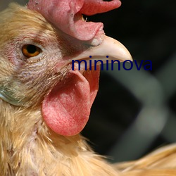 mininova