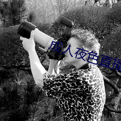 成人夜色直播app下載